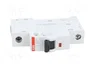 ABB SZ201-B10 Interruptor Magnetotérmico 10A 1 Polo Característica B