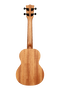 Kala Ukelele Concierto James Hill Tapa de Caoba Maciza