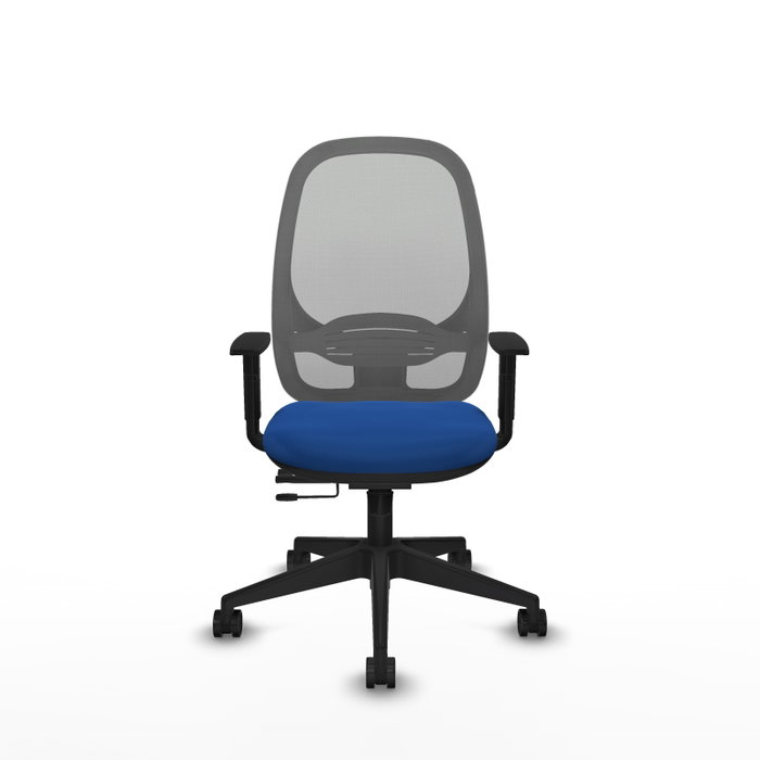 PIQUERAS Y CRESPO Silla de oficina Cilanco con mecanismo Sincro/Traslack Azul y Gris PIQUERAS Y CRESPO Silla de oficina Cilanco con mecanismo Sincro/Traslack Azul y Gris