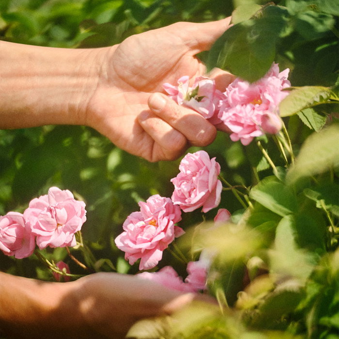 Guerlain La Petite Robe Noire Eau de Toilette Vaporizador Mujer 100 ml