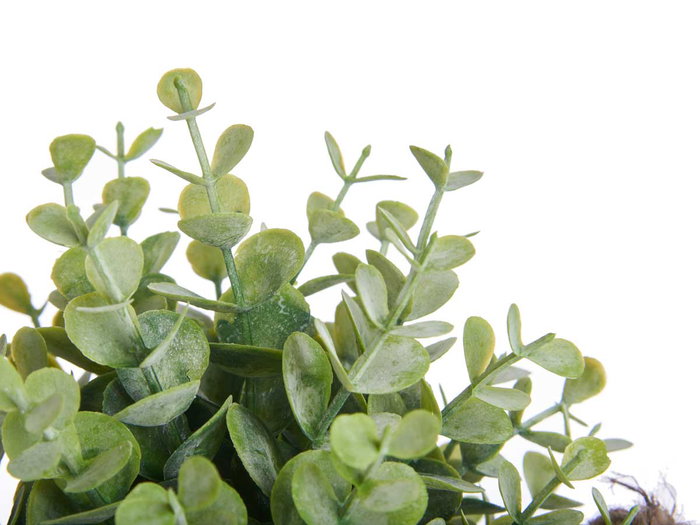 Ibergarden Planta Flor Verde Envejecid Bote Metal 23 cm Surtidos (Set de 12)