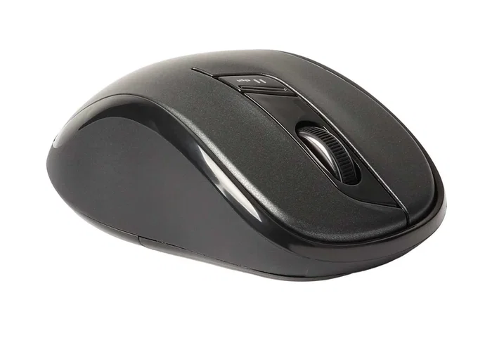 Rapoo M500 Ratón Inalámbrico Multimodo Negro
