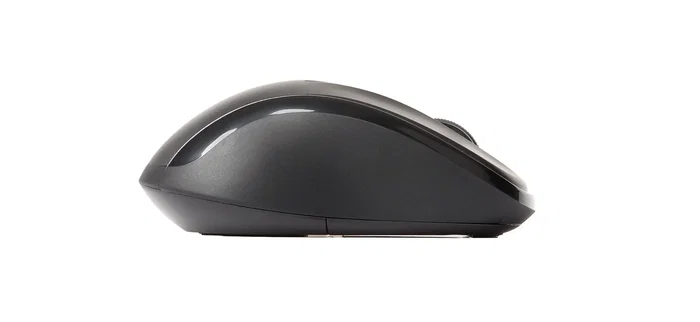 Rapoo M500 Ratón Inalámbrico Multimodo Negro
