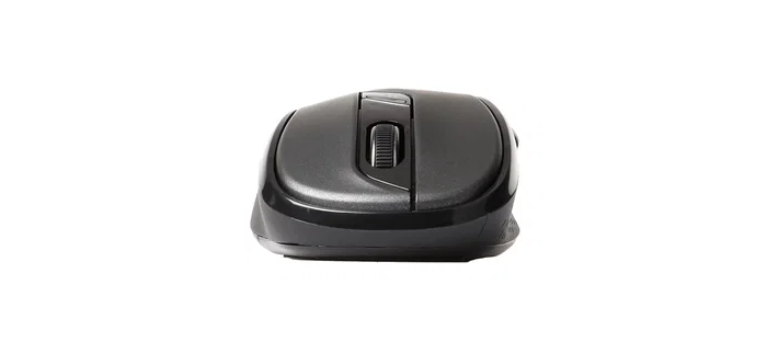 Rapoo M500 Ratón Inalámbrico Multimodo Negro