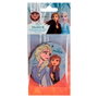 Licensing Ambientador Frozen 2 (Outlet)