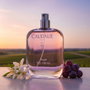 Caudalie Ange des Vignes Eau de Parfum 50 ml