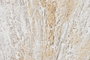 DKD Home Decor Cuadro Lienzo PS 62x4,5x122 Jarrón Surtido de 2 unidades