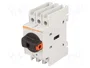 LOVATO ELECTRIC Interruptor de aislamiento GA 32A 3 polos