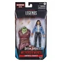 Hasbro Figura America Chavez Marvel Legends 15 cm