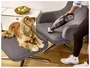 Severin HV 7147 Aspiradora 2 en 1 Negro, Gris, Rojo