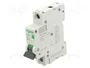 SCHNEIDER ELECTRIC Interruptor magnetotérmico Easy9 Pro 13A 1 Polo 6kA