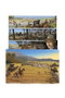 Yermo Ediciones Y Publicaciones, S.L. El Sendero de la Guerra de Marc Bourgne