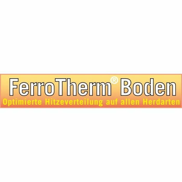 GSW Horno Holandés RIGO GSW4005643981057 24 cm Acero Inoxidable Inducción