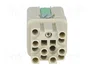 HARTING Han Q12-F-QL Plantilla de Contacto Hembra Han Q