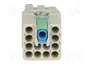 HARTING Han Q12-F-QL Plantilla de Contacto Hembra Han Q