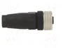 TELEMECANIQUE SENSORS Conector M12 hembra recto de 4 pines