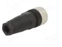 TELEMECANIQUE SENSORS Conector M12 hembra recto de 4 pines