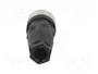 TELEMECANIQUE SENSORS Conector M12 hembra recto de 4 pines