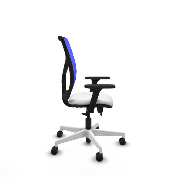 PIQUERAS Y CRESPO Silla de oficina Motilla con mecanismo Sincro/Traslack, Azul y Blanco PIQUERAS Y CRESPO Silla de oficina Motilla con mecanismo Sincro/Traslack, Azul y Blanco