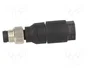 LAPP Conector M8 Macho de 4 Pines, Recto, IDC, Industrial