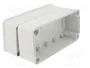 FIBOX PICCOLO Carcasa Universal Gris