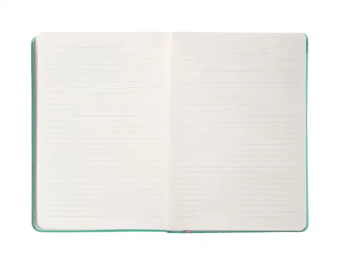 Antartik Cuaderno A4 Tapa Dura Hojas Rayas Rosa y Turquesa 100 Hojas 80 gr FSC