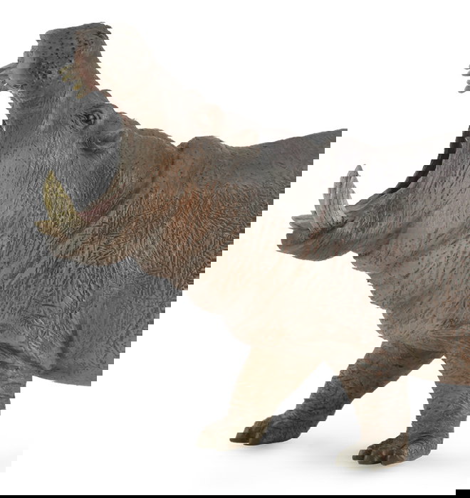 Collecta Hipopotamo XL 88833 Figura Realista para Niños +3 Años