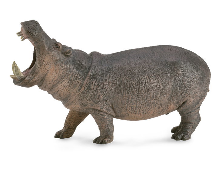 Collecta Hipopotamo XL 88833 Figura Realista para Niños +3 Años