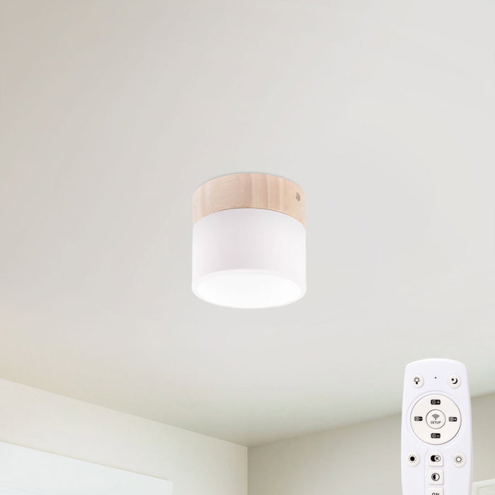 Plafón LED Circular CCT Seleccionable 9W 852Lm con Mando a Distancia