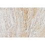 DKD Home Decor Cuadro Lienzo Jarrón Surtido de 2 Unidades 62x4,5x122 cm