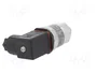 DANFOSS MBS 1700 Transductor de Presión 0÷25bar 4÷20mA