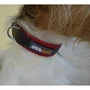 YAGO Collar de Cuero Negro y Rojo Bicolor Suave y Ajustable para Perros Medianos Talla M 34-43 cm