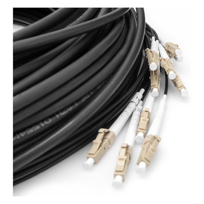 Digitus Cable de fibra óptica breakout OM4 12 fibras LC/UPC a LC/UPC 30 m