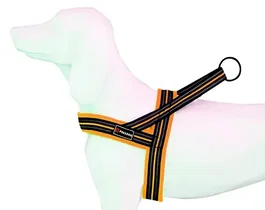 Freedog Arnés Soft-Sport Nj Neon T-XS 15 mmx48-56 cm