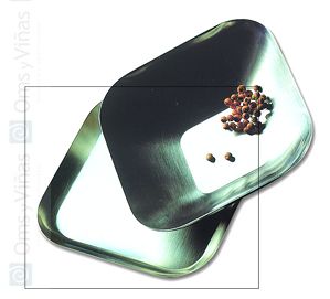 Mepra Panera UNO - Panera Plana en Acero Inoxidable, 15x15 cm Mepra Panera UNO - Panera Plana en Acero Inoxidable, 15x15 cm