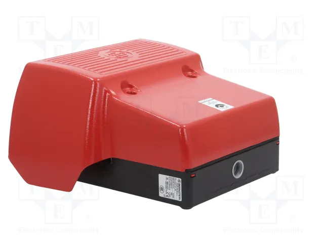 BERNSTEIN AG Interruptor de pie 3A/250VAC IP65 BERNSTEIN AG Interruptor de pie 3A/250VAC IP65