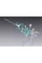 Thunder Green Version 24 cm Tamashii Effect S.H. Figuarts