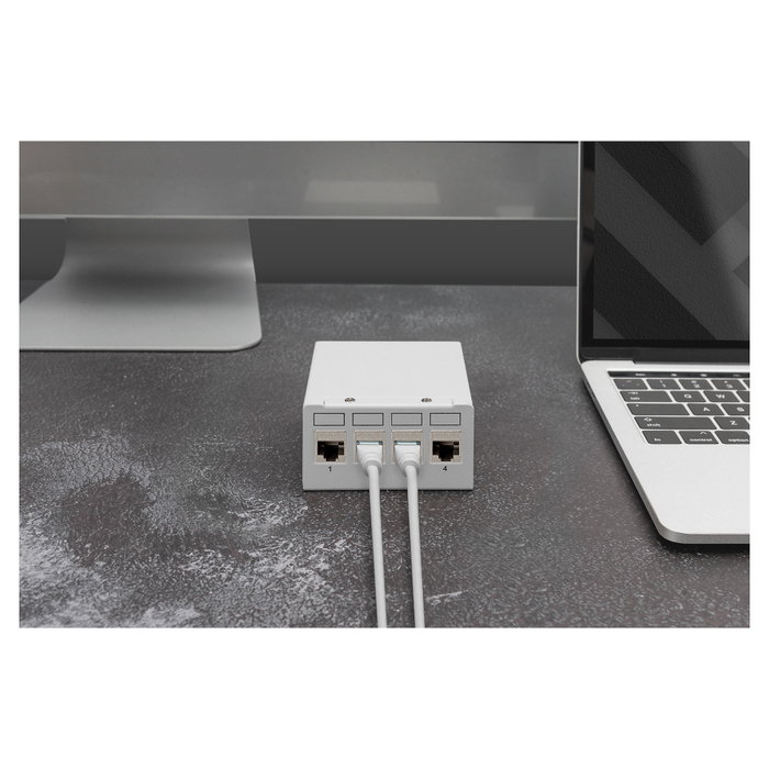 Digitus Módulo Keystone CAT 6A Apantallado con Gestor de Cables Inteligente - 4 Piezas, Plata