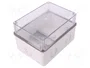 ELEKTRO-PLAST NASIELSK CARBO-BOX Caja de conexiones gris claro con tapa transparente