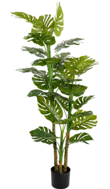 DKD Home Decor Planta Monstera Verde de 60x60x150 cm