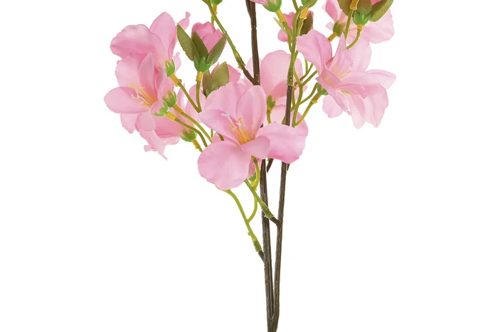 DKD Home Decor Flor Rosa Blanco 20 x 90 x 20 cm (24 Unidades) DKD Home Decor Flor Rosa Blanco 20 x 90 x 20 cm (24 Unidades)
