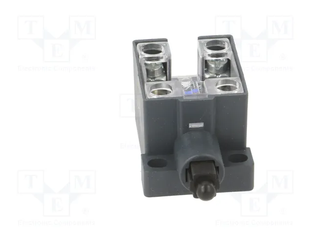 PIZZATO ELETTRICA Interruptor de fin de carrera con husillo de plástico NO x2 10A