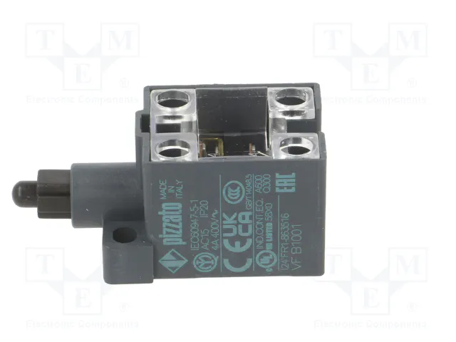 PIZZATO ELETTRICA Interruptor de fin de carrera con husillo de plástico NO x2 10A