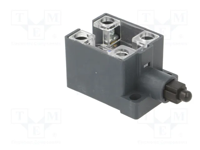 PIZZATO ELETTRICA Interruptor de fin de carrera con husillo de plástico NO x2 10A
