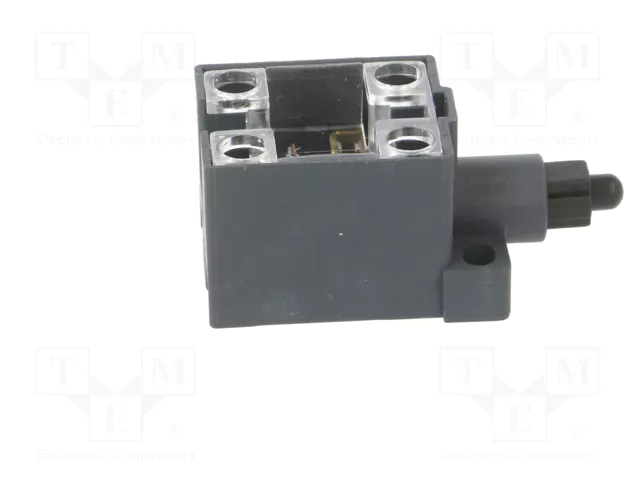 PIZZATO ELETTRICA Interruptor de fin de carrera con husillo de plástico NO x2 10A