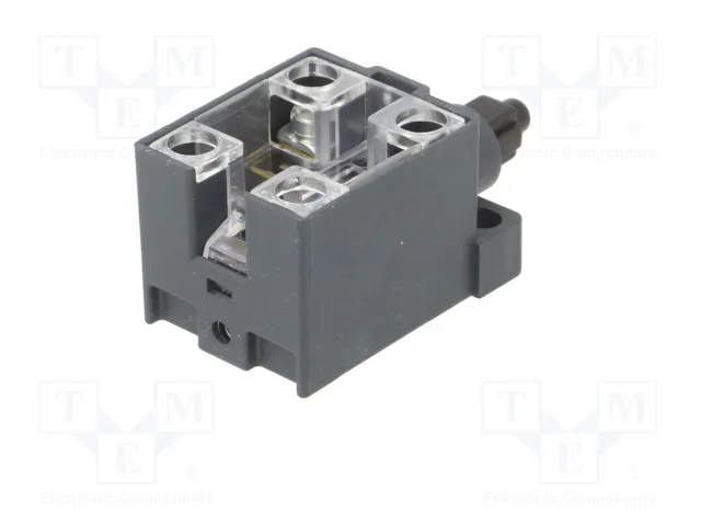 PIZZATO ELETTRICA Interruptor de fin de carrera con husillo de plástico NO x2 10A