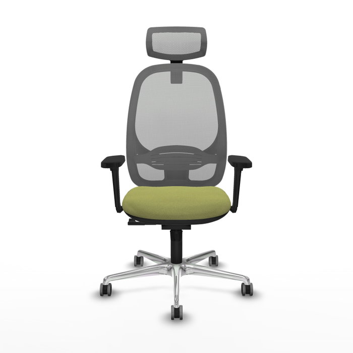 PIQUERAS Y CRESPO Silla de oficina Cilanco con mecanismo Sincro, Verde oliva y Gris PIQUERAS Y CRESPO Silla de oficina Cilanco con mecanismo Sincro, Verde oliva y Gris