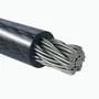 StarTech UNIVC4D-LAPTOP-LOCK Cable Antirrobo Universal para Portátil de 2m, Compatible con Noble Wedge/K-Slot/Nano, Cerradura de Combinación