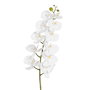 Flor Orquídea Blanco Tejido Decoración 107 cm (Set de 6)