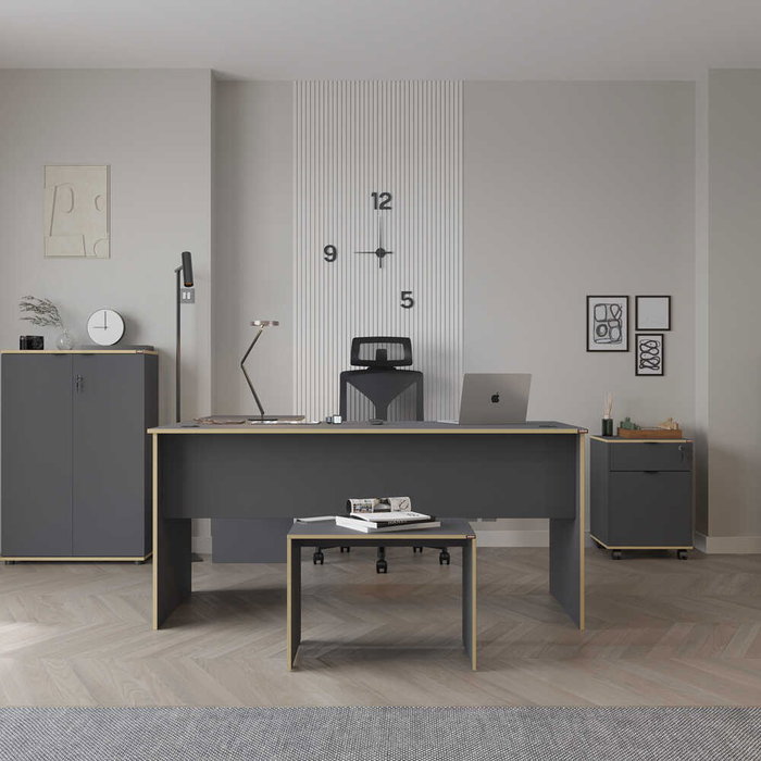 Hanah Home Rms-320-Ax-1 Mesa de Estudio con Tablero de Partículas Recubierto de Melamina, 160x75x144 cm, Antracita y Roble